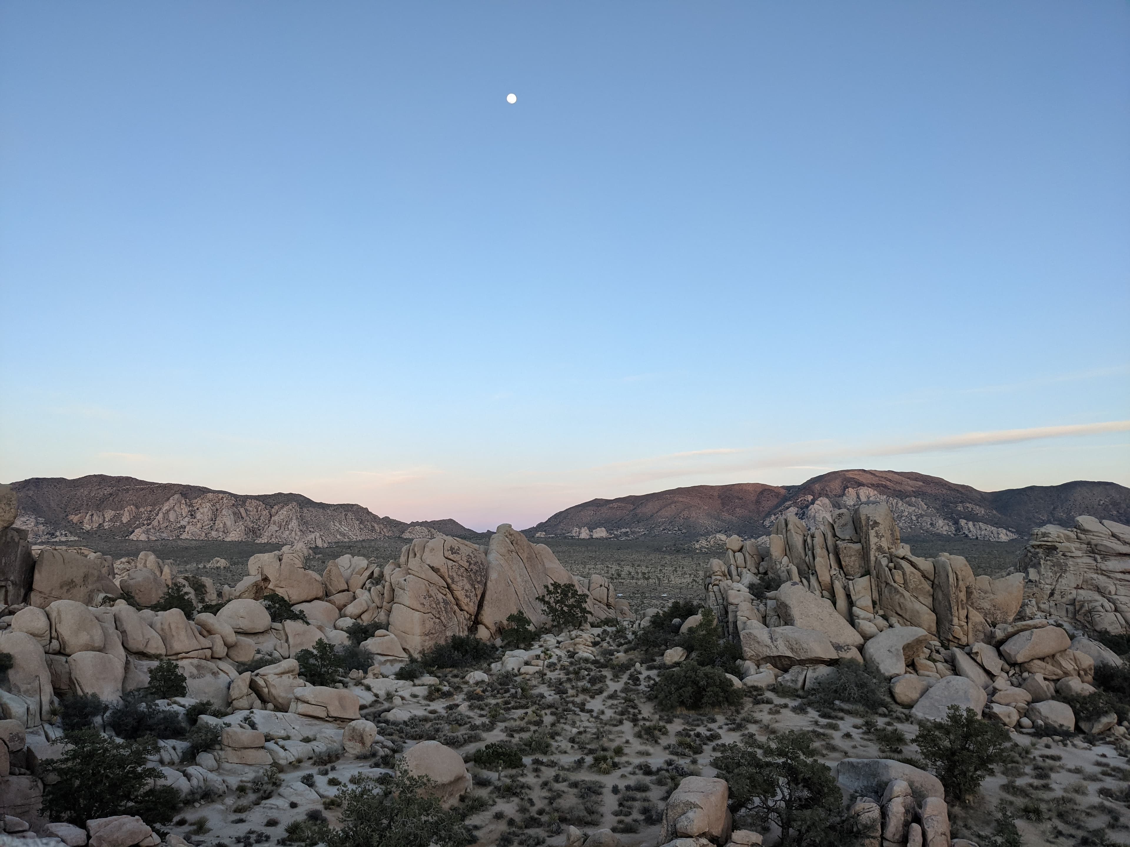 background image of dusk in Joshua Tree National Park